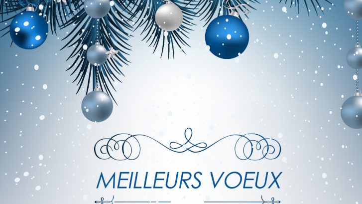 ✨ Meilleurs Vœux 2025 ! ✨